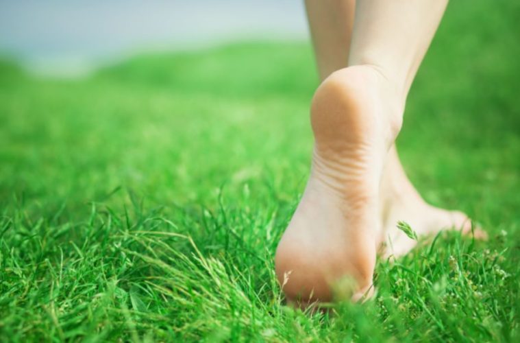 La Science Suggere Que Marcher Pieds Nus Sur L Herbe Ameliore Votre Sante Un Jour De Reve