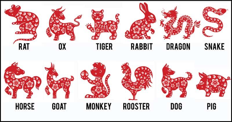 12 astrology zodiac igns in chinese